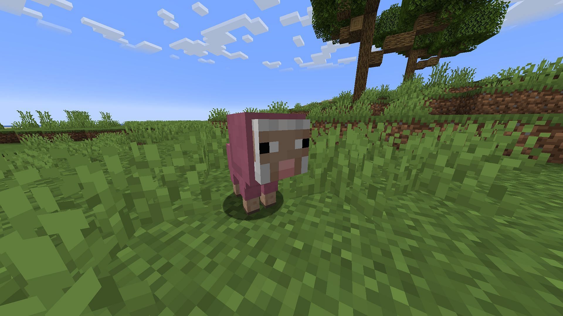 A naturally spawning pink baby sheep is immensely rare (Image via Mojang)