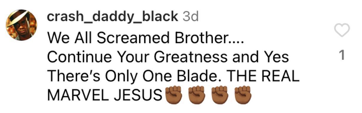 A comment on Snipes&#039; Instagram page (Image via @realwesleysnipes/Instagram)