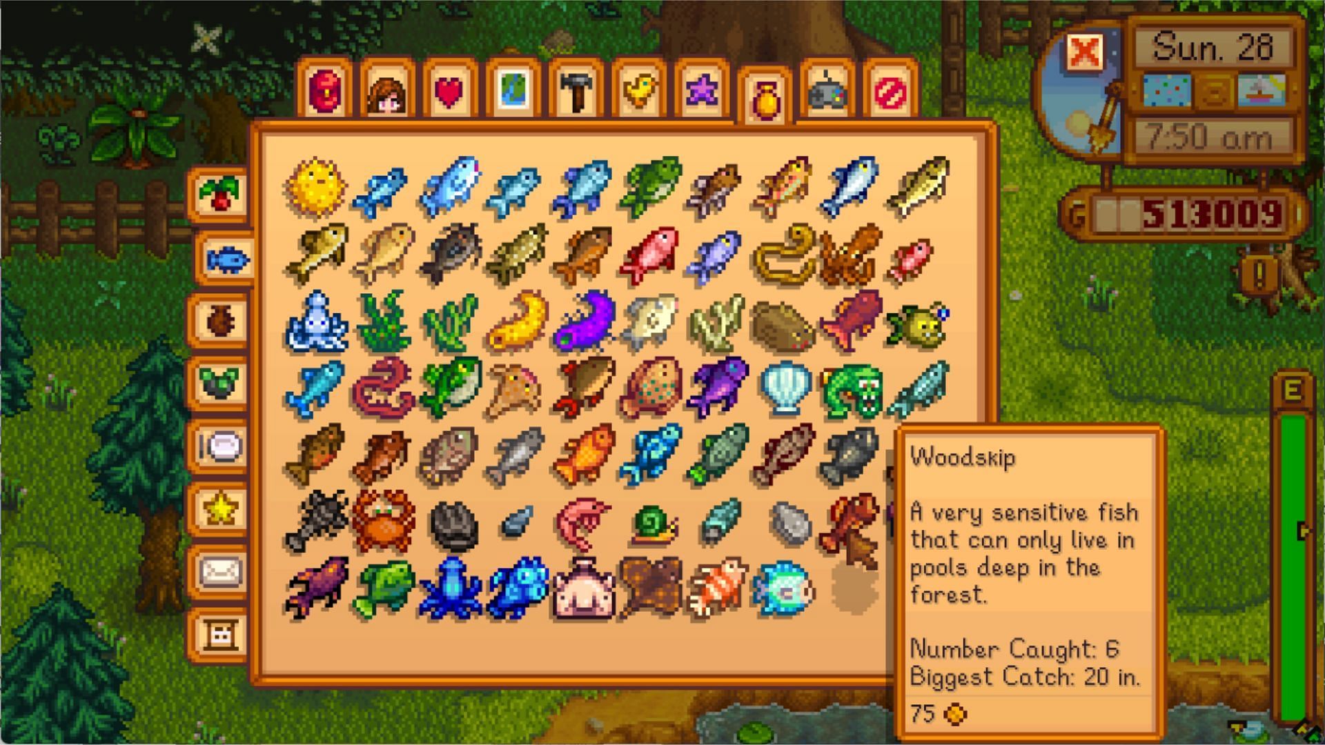 Magic Bait can catch any fish in the game (Image via ConcernedApe)