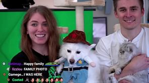 When did Ludwig and QTCinderella start dating? Streamers' relationship timeline explored