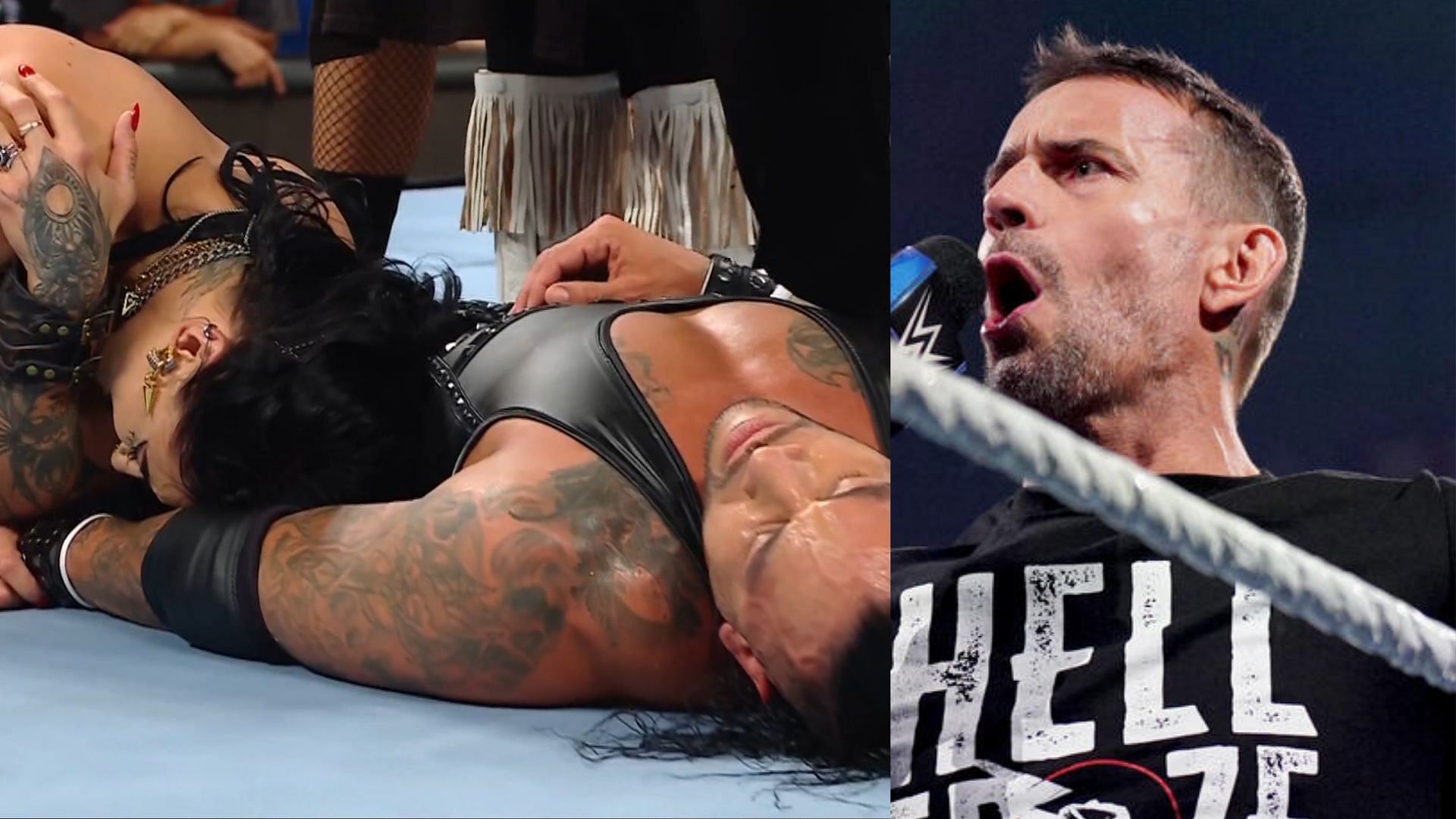 The two stars were left destroyed (Credit: WWE.com and WWE RAW)