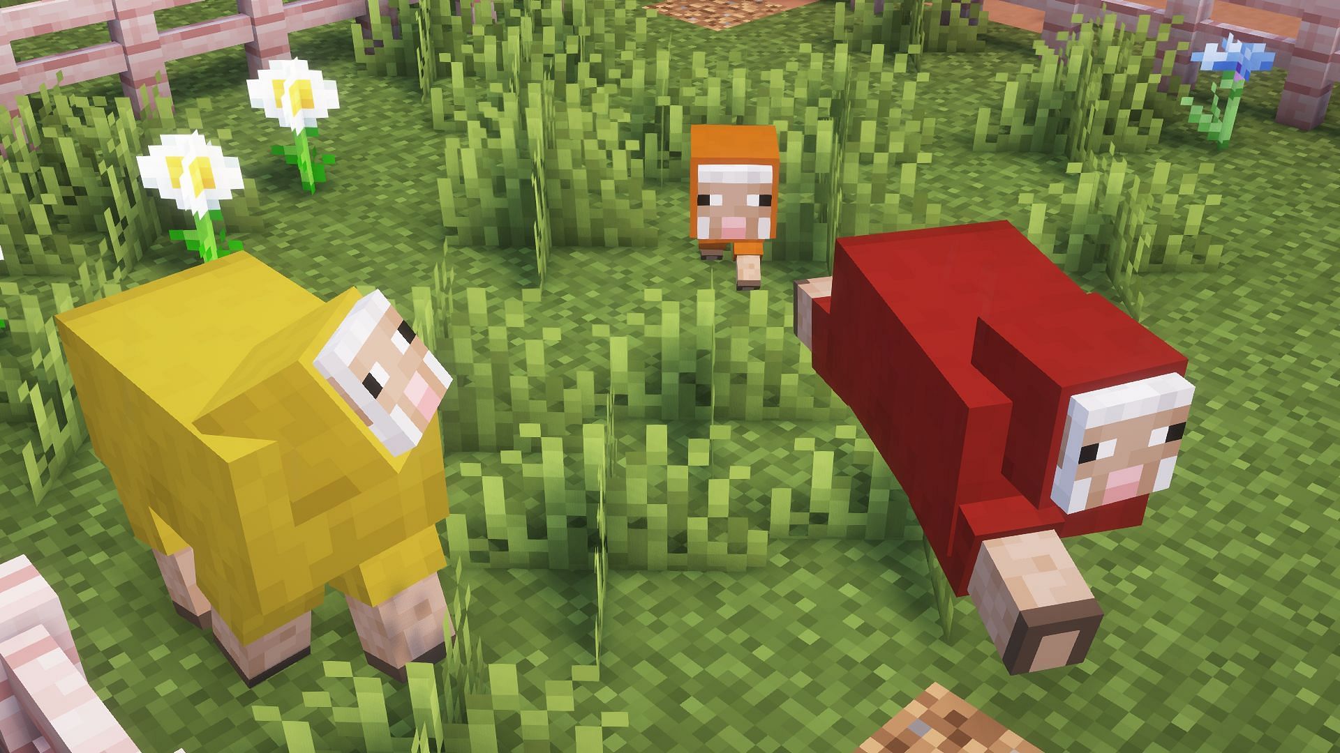 Breeding dyed sheep is quite interesting on Java Edition (Image via Mojang)