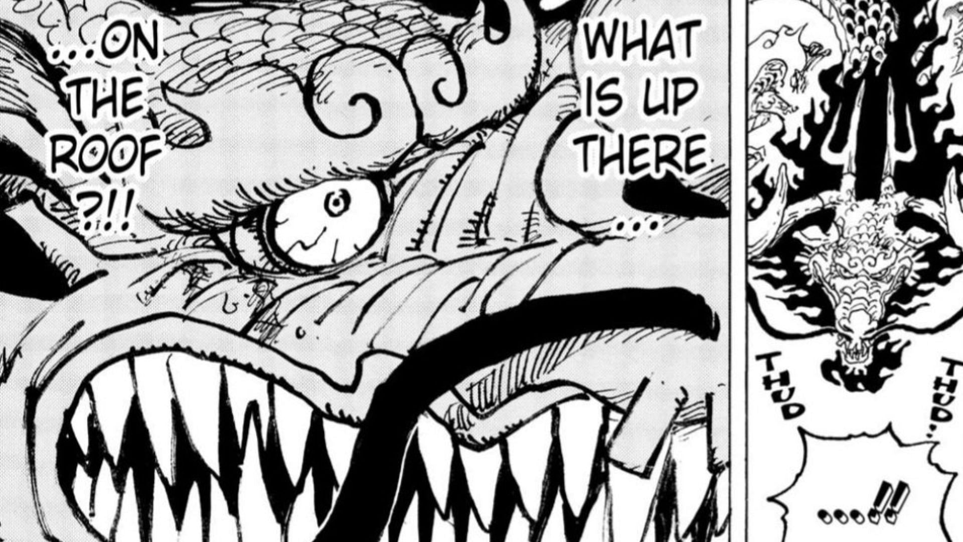 Kaido fails to recognize Luffy&#039;s Haki (Image via Shueisha)