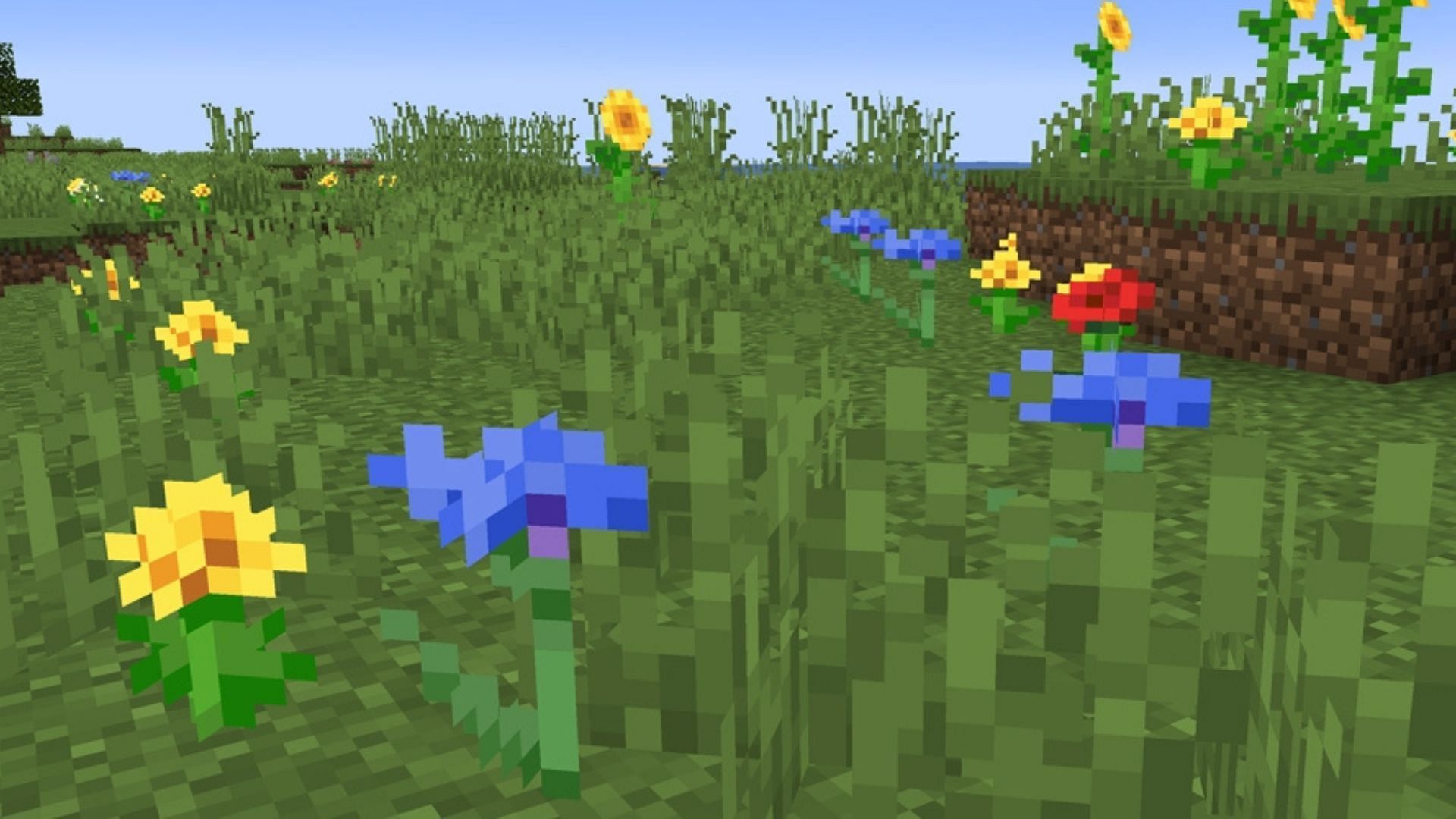 Minecraft cornflower