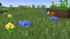 How to get cornflower in Minecraft