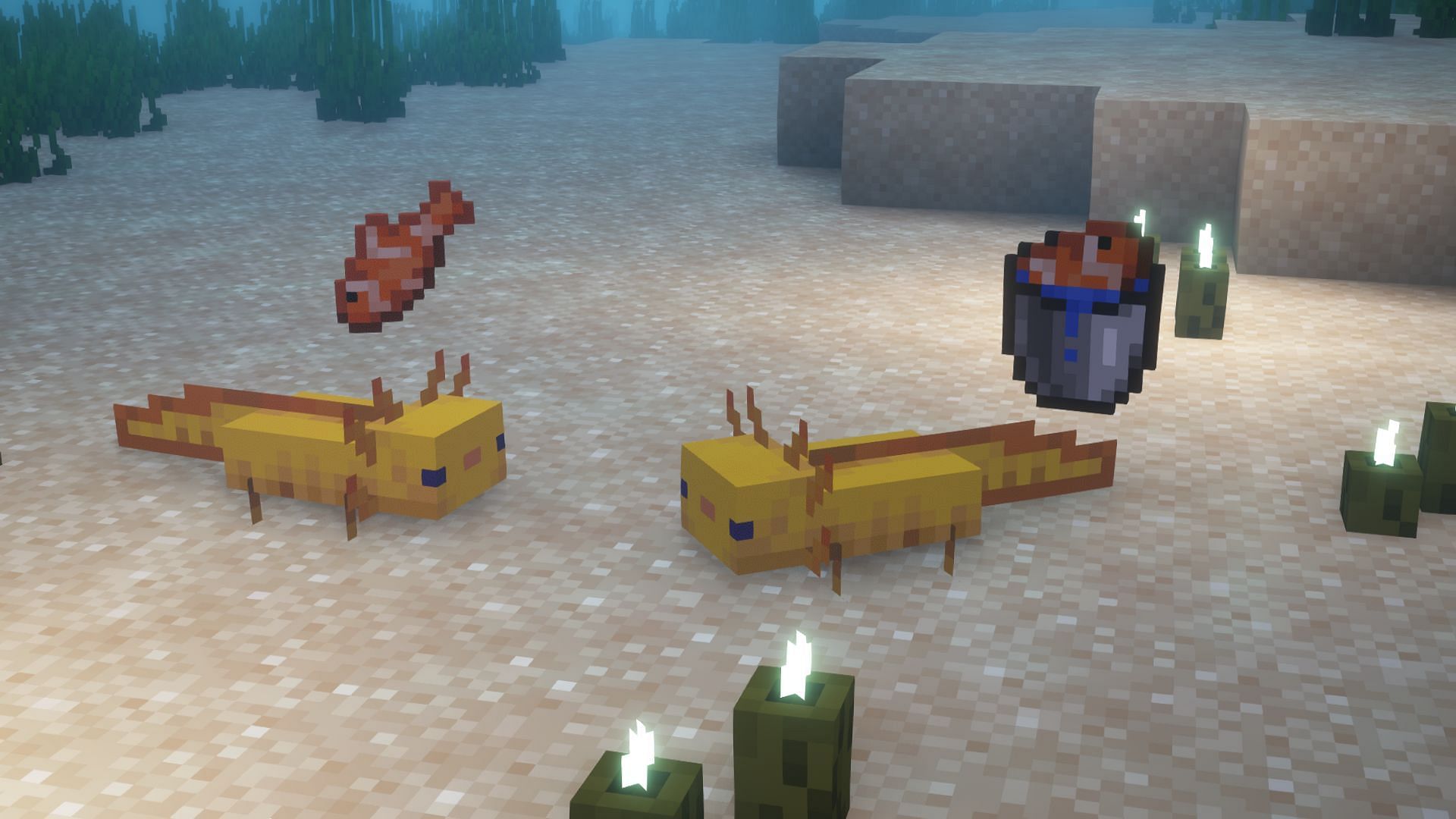 Axolotls need buckets of tropical fish instead of regular tropical fish (Image via Mojang)