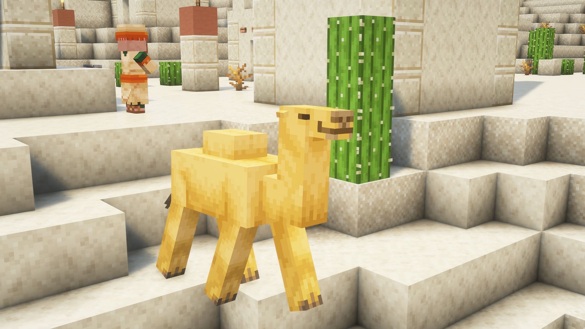 A camel in front of a cactus (Image via Mojang)