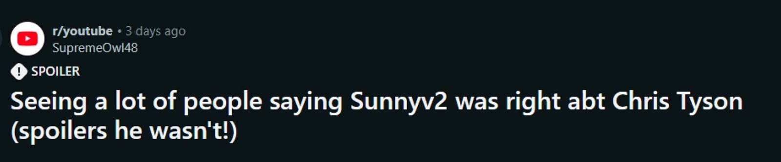 What did YouTuber SunnyV2 say about MrBeast and Ava Kris Tyson?