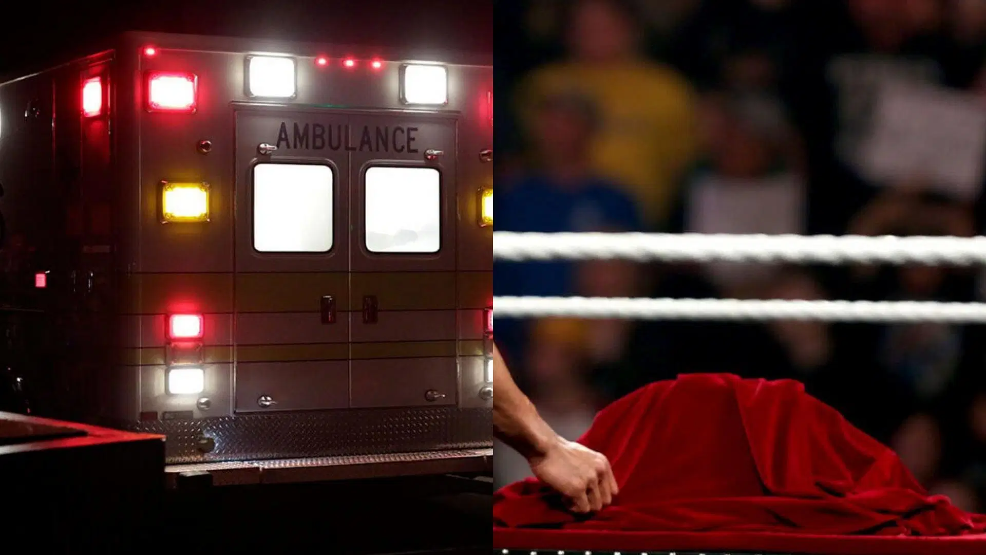 The star had to give up the title (Credit: WWE.com)