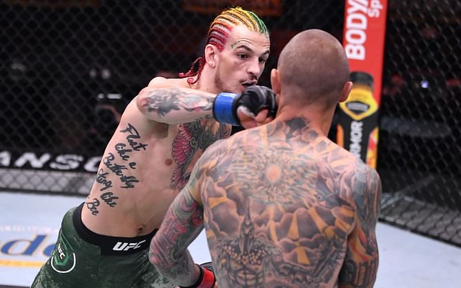 5 best finishes from the stars of Noche UFC 306: Sean O'Malley vs. Merab Dvalishvili