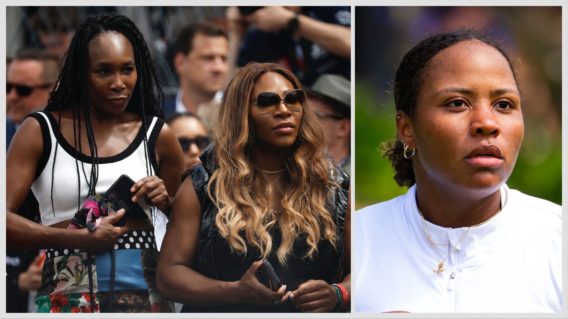 "Have you heard of Arthur Ashe or Venus & Serena Williams?" Fans slam