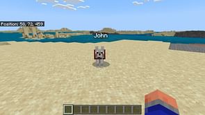 How to teleport pets in Minecraft