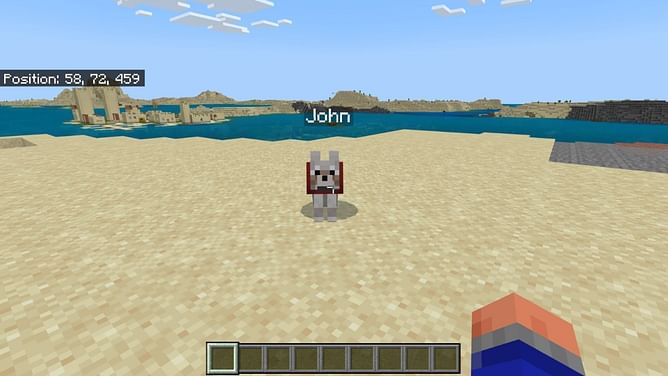 How to teleport pets in Minecraft