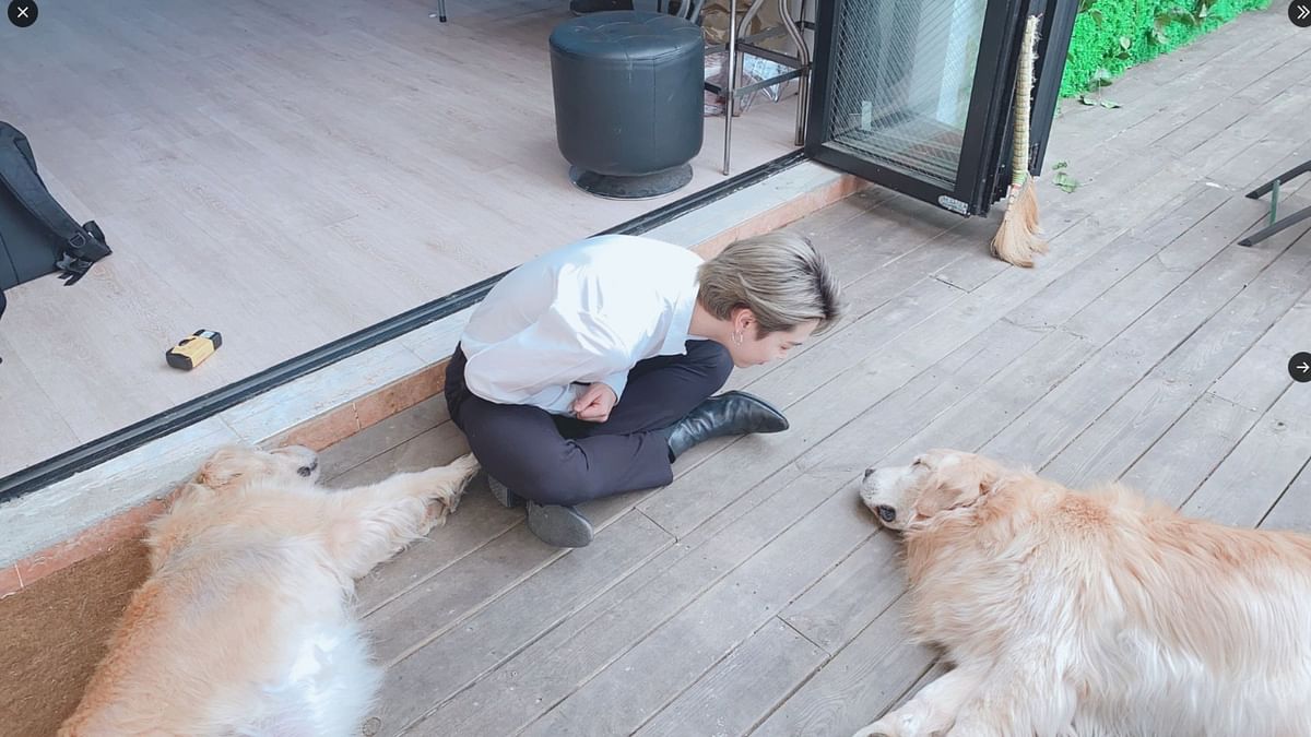 How many pets do BTS members have? Details explored