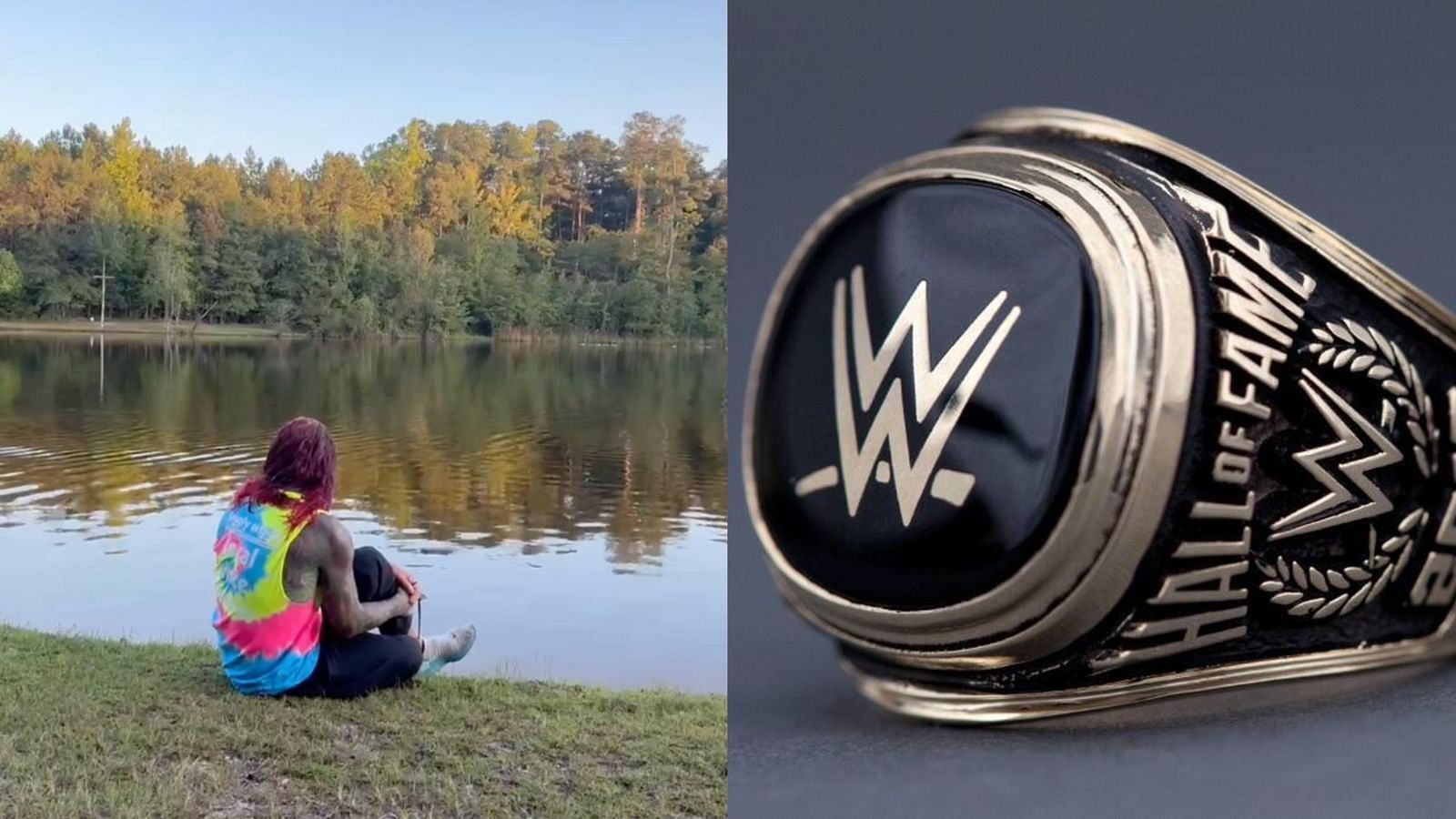 WWE Hall of Fame ring! (pics from WWE.com and the star