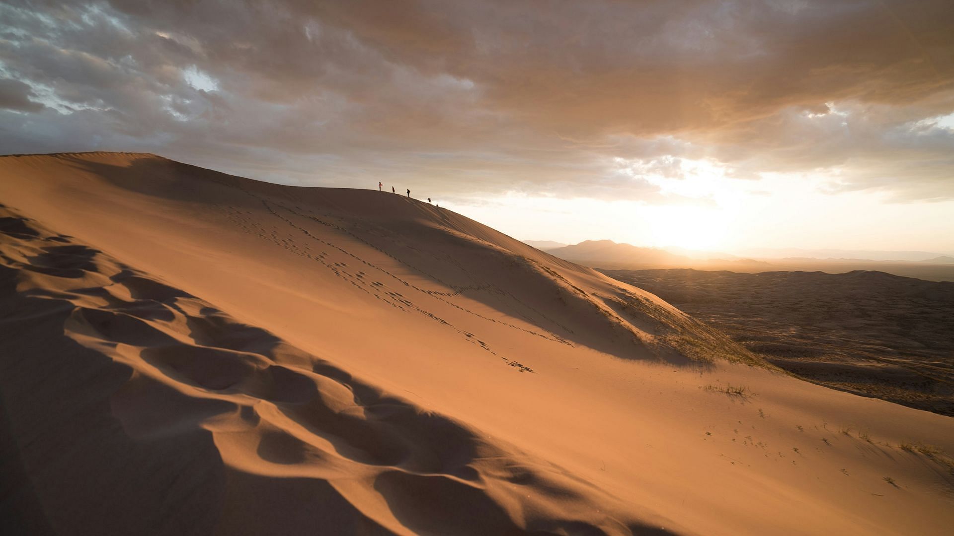 An imagery for the desert (Image via Joshua Sortino/Unsplash)