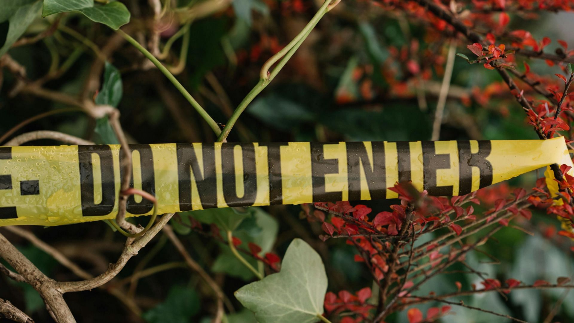 Crime scene (Representative Photo by pexels ) 