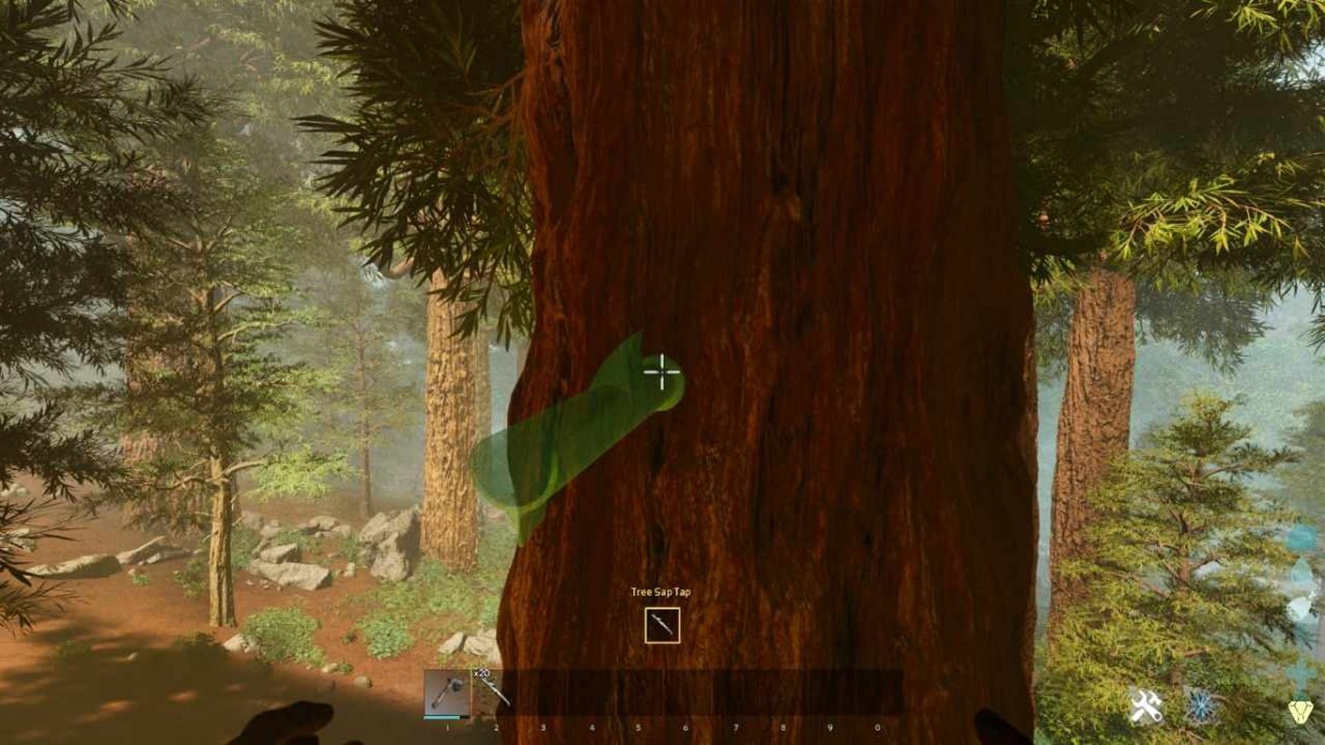 Getting Sap from Redwood Tree in ARK Survival Ascended (Image via Studio Wildcard)