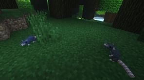 Minecraft Rats mod: Features, installation guide, and how to play