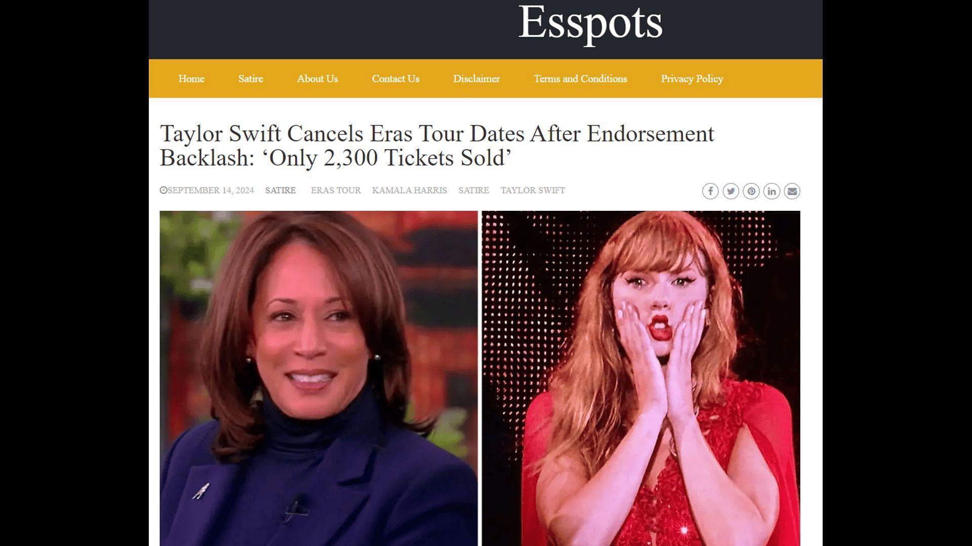 A glimpse of the fake Esspots article on Taylor Swift (Image via Esspots)