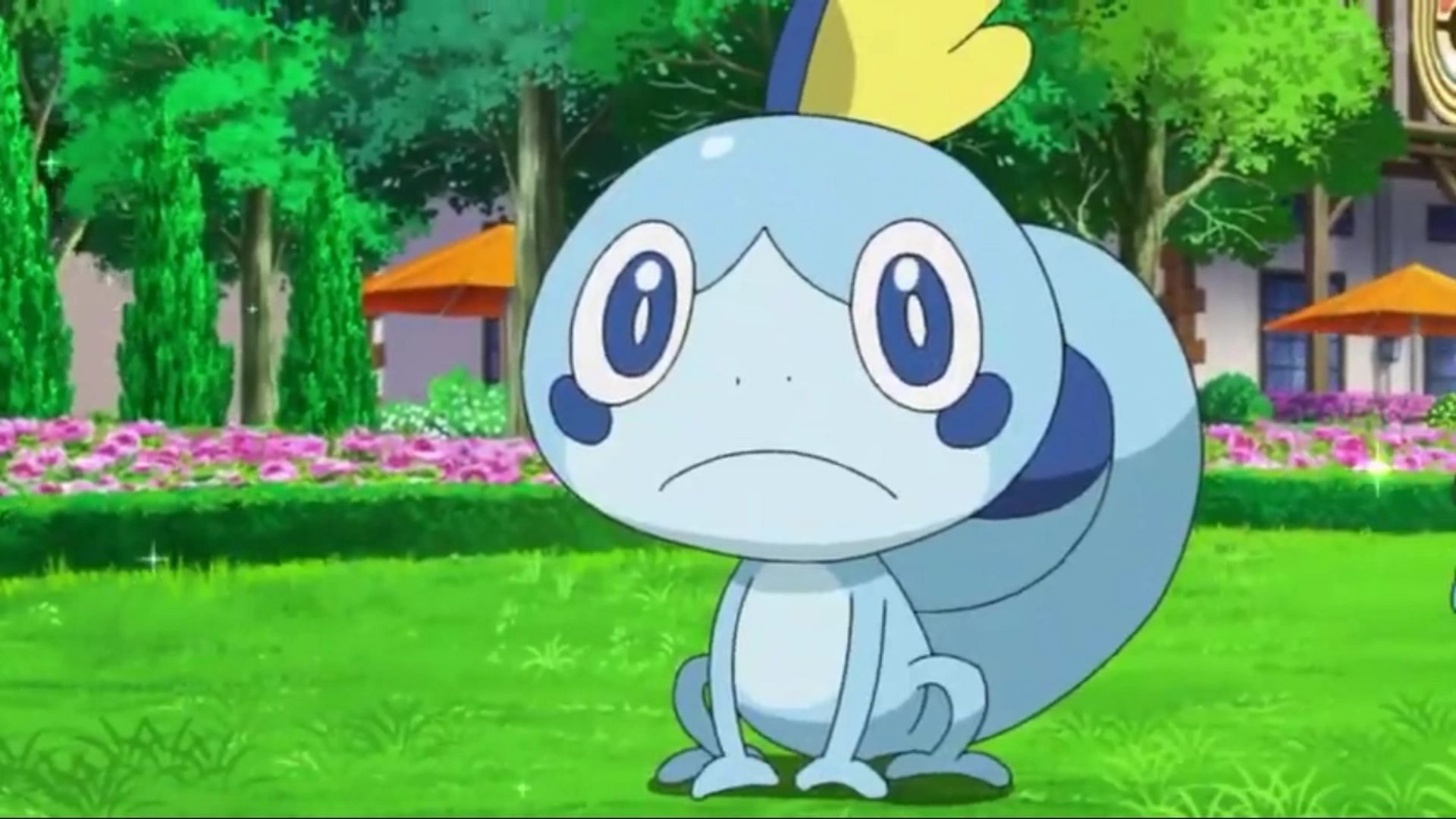 Sobble in the anime (Image via TPC)