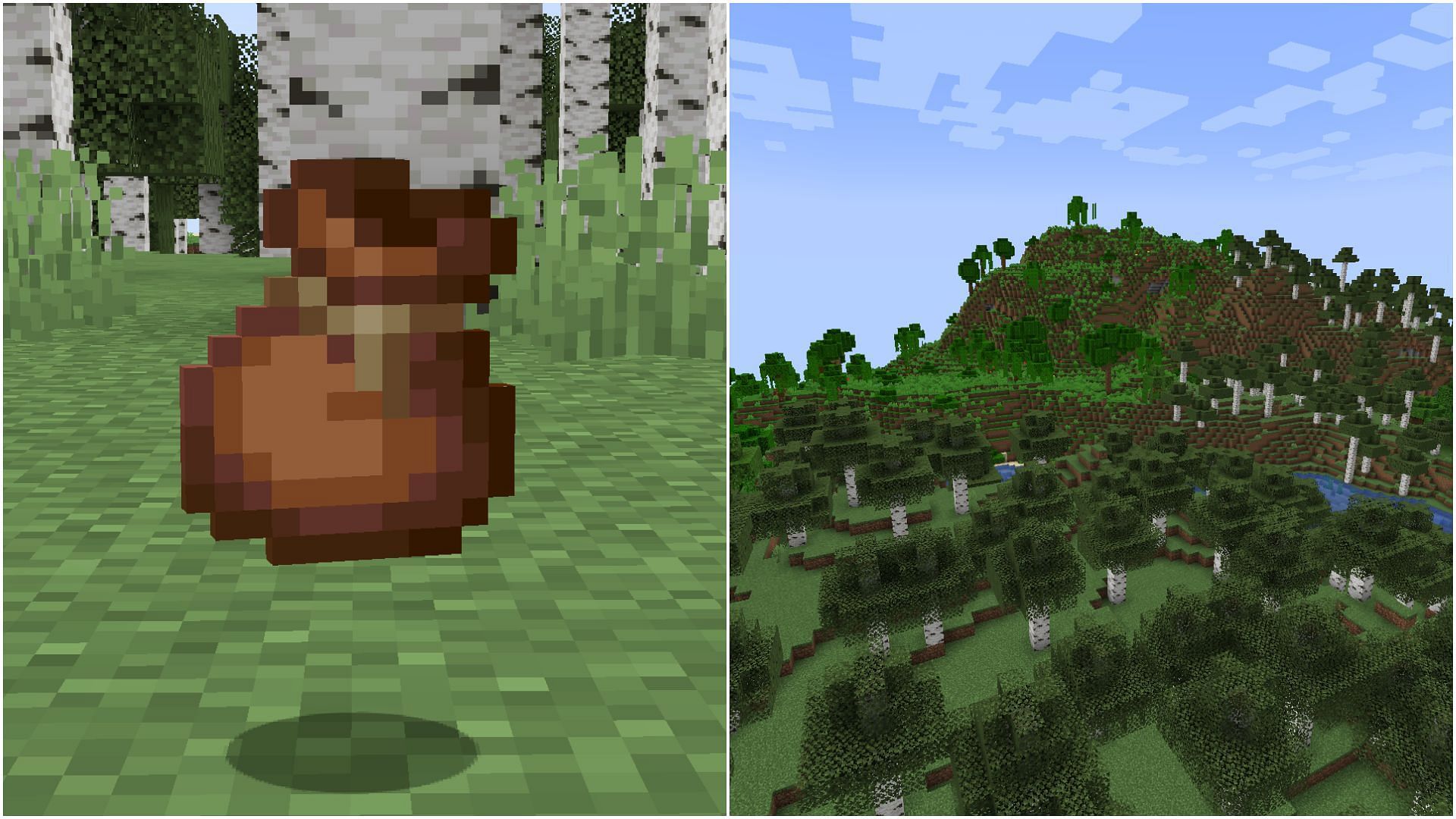 The new update could have a new biome, mob, and bundles (Image via Mojang Studios)