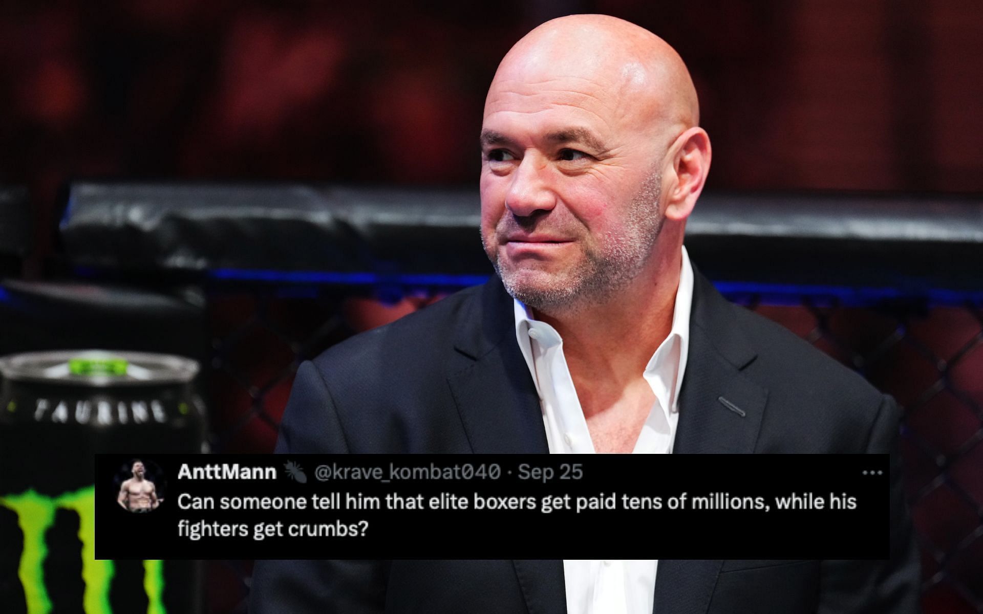 Fans react to Dana White