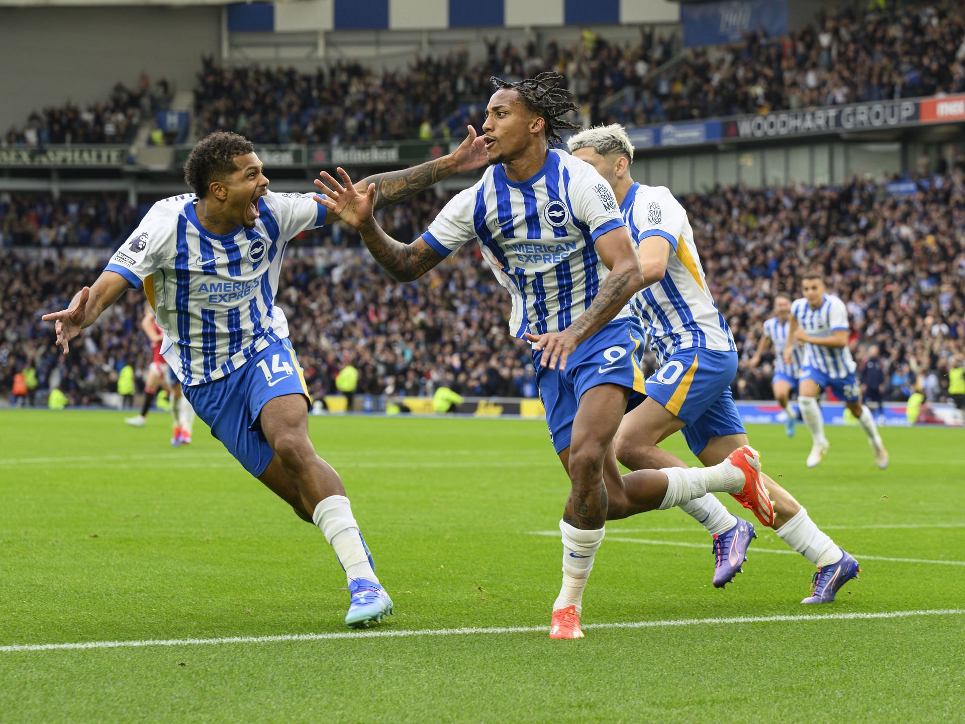 Brighton & Hove Albion FC v Manchester United FC - Premier League - Source: Getty