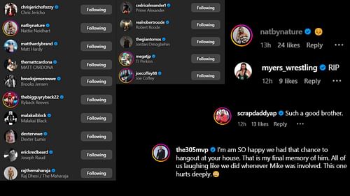 Screenshot of stars' likes and comments on Luke Gallows' post [Image credits: Gallows' Instagram]