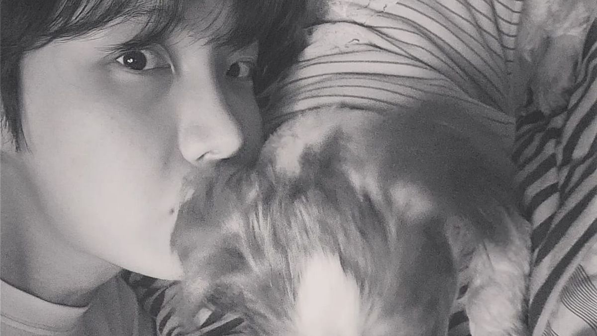 How many pets do BTS members have? Details explored