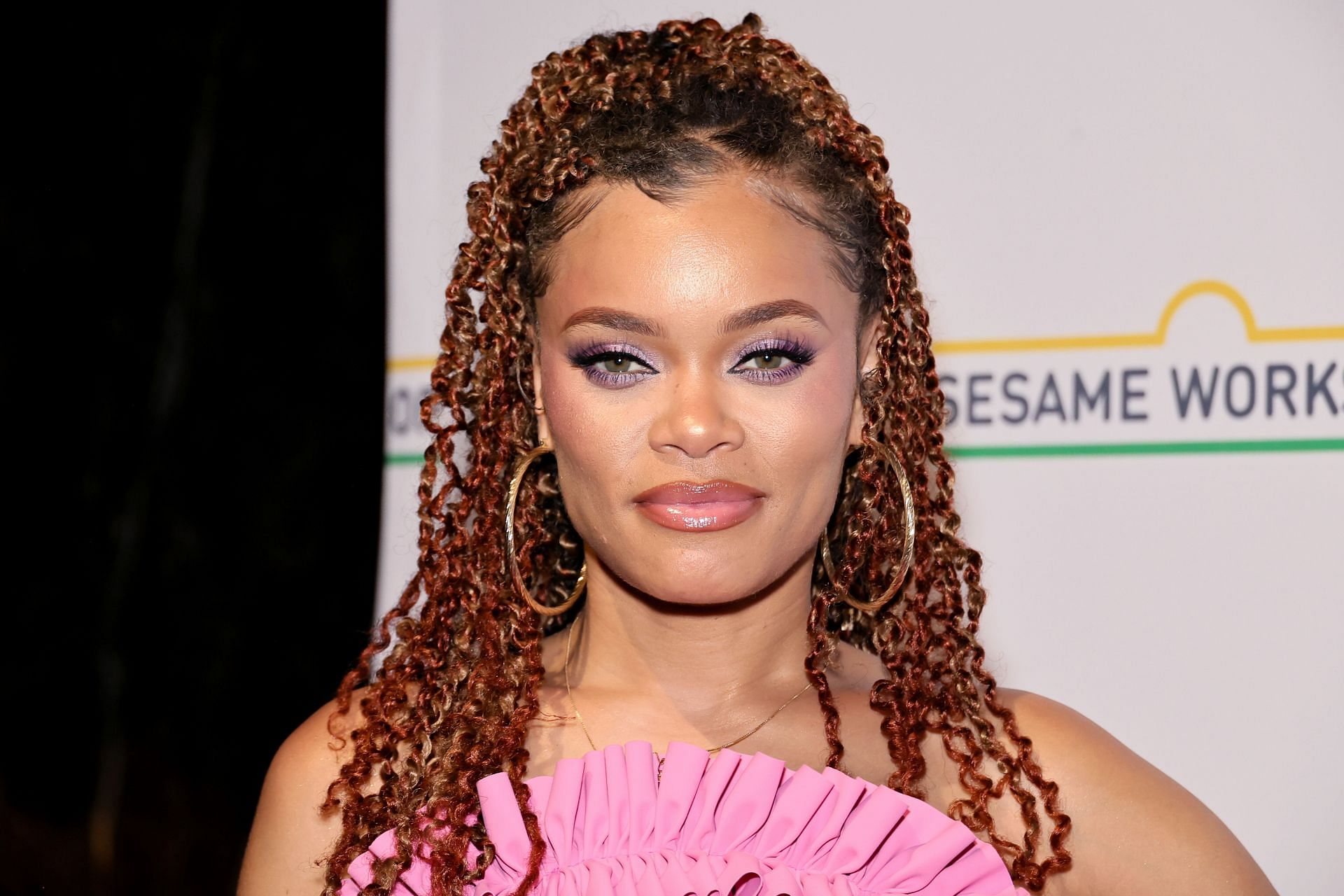 Andra Day attends the Sesame Workshop 2024 Benefit Gala - Source: Getty