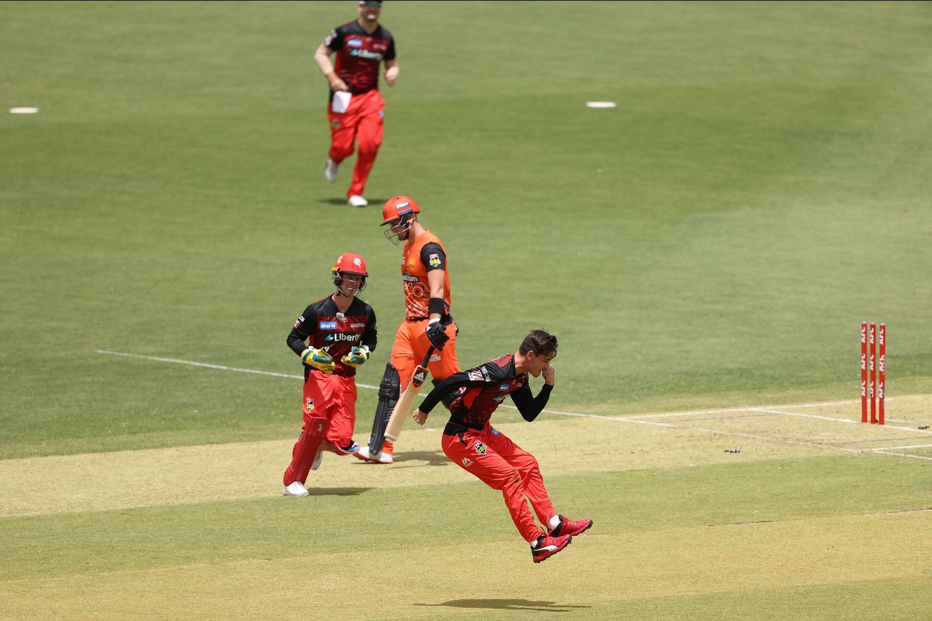 BBL - Scorchers v Renegades