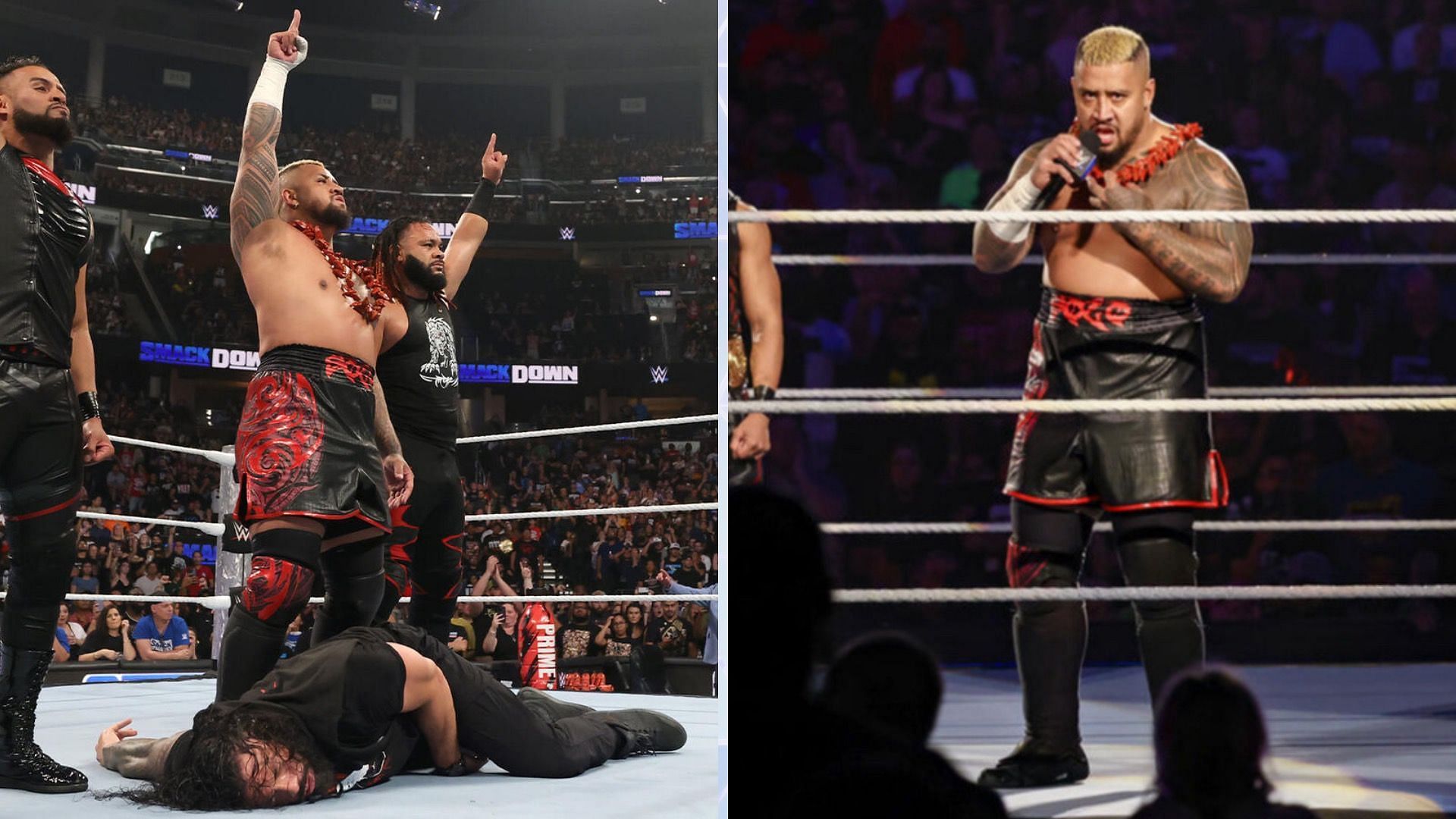 Four full-length shows are coming to WWE Network &amp; Peacock [Credit: WWE.com]