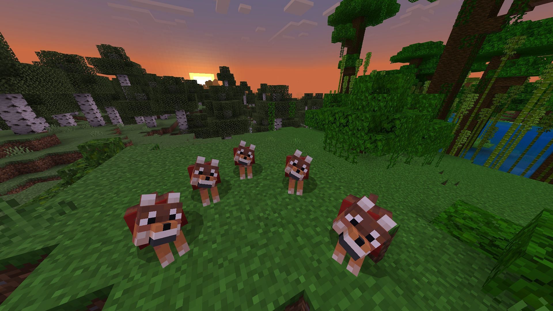 To get this achievement, players must tame five wolves (Image via Mojang Studios)