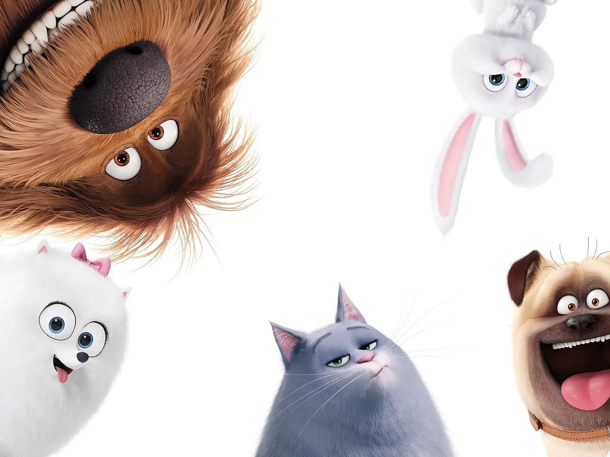 Still from The Secret Life of Pets (Image via Amazon Prime Video)