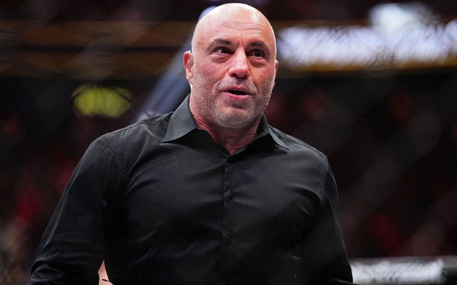 Is Joe Rogan part of Noche UFC 306 broadcast and commentary team?