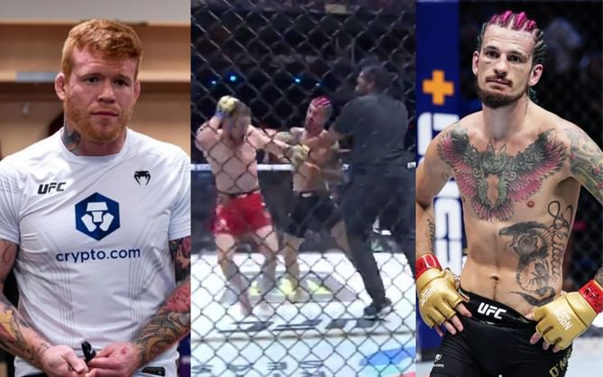 Sean O'Malley's coach takes aim at Herb Dean for stopping potential fight-ending moment: “He might’ve KO’d him right there"