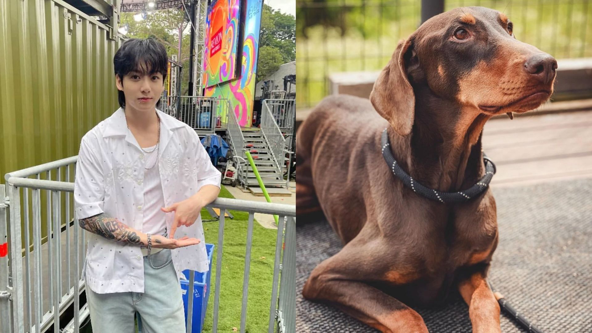 BTS&rsquo; Jungkook&rsquo;s dog Instagram account posts with caption &lsquo;Artists are not guilty&rsquo;. (Images via Instagram/@jungkook_bighitentertainment and @bowwow_bam)