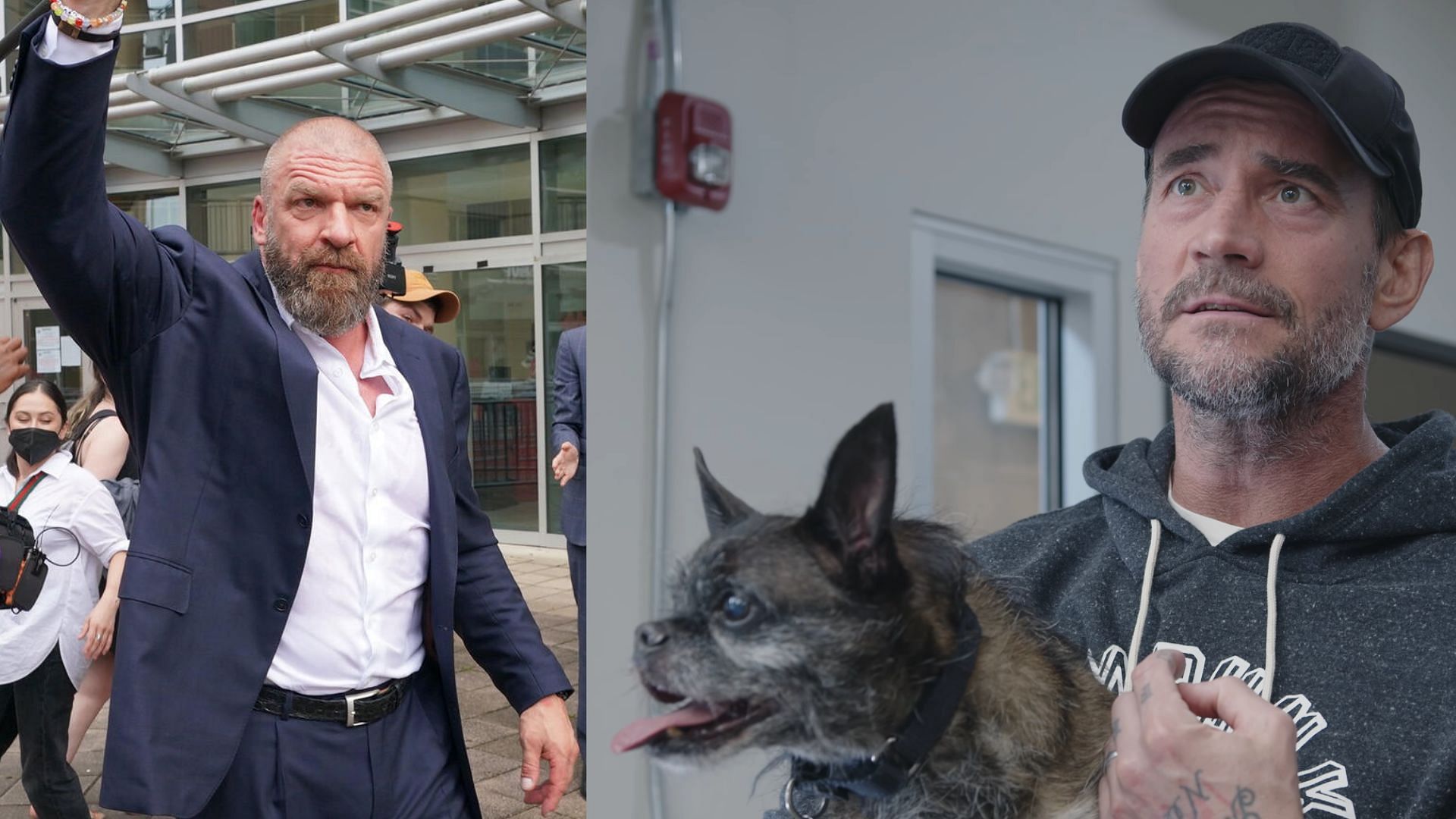 CM Punk, Larry, and Triple H! [Image credits: WWE.com and CM Punk