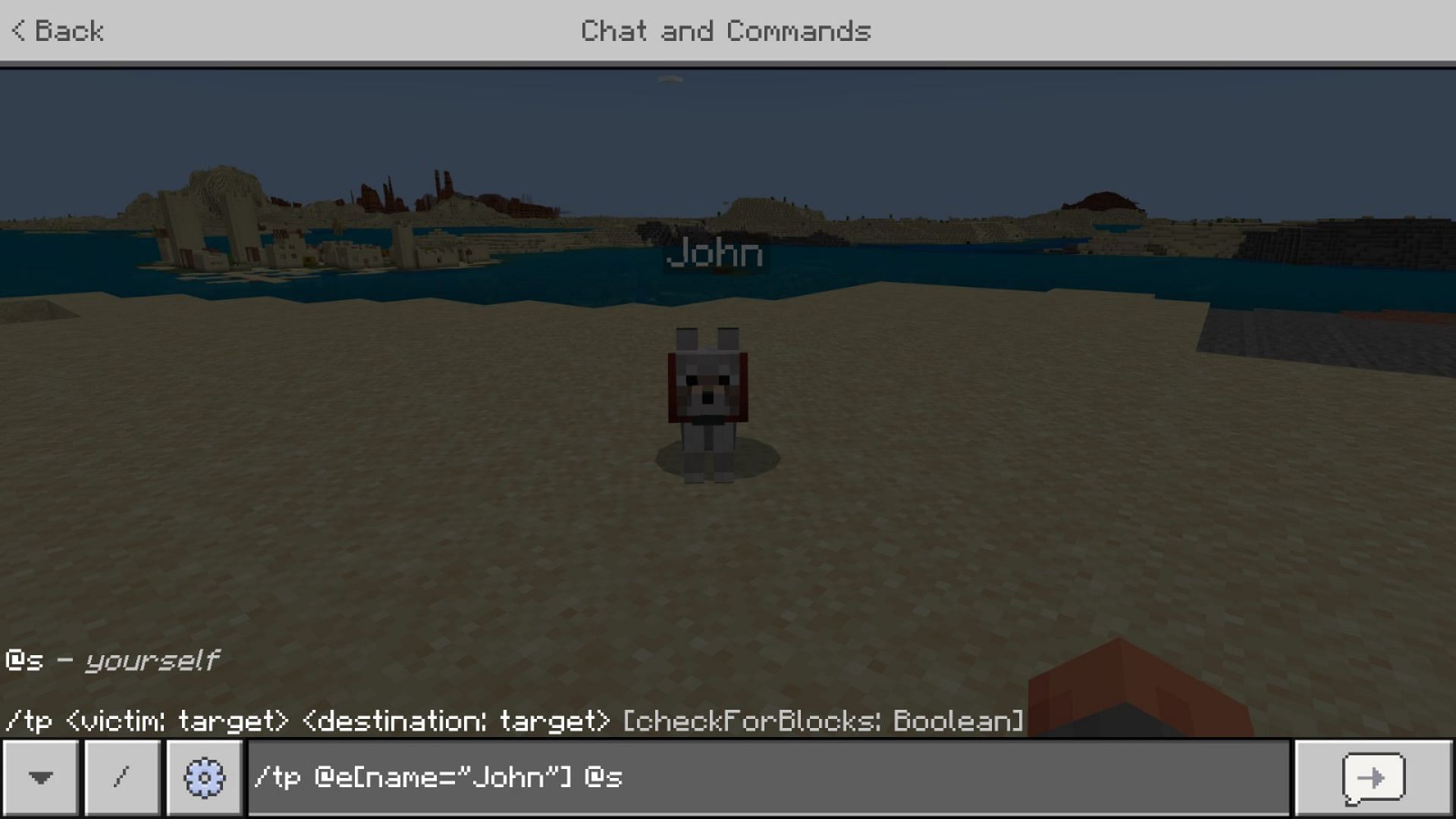 Use the command to teleport the pets in Minecraft (Image via Mojang Studios)