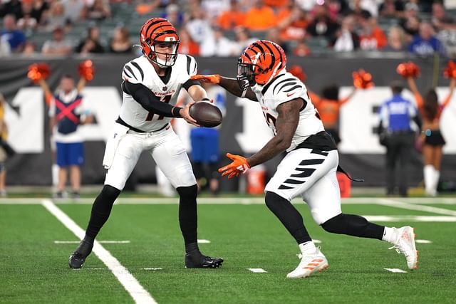 How much do Bengals tickets cost? 2024 prices, tiers and all you need ...