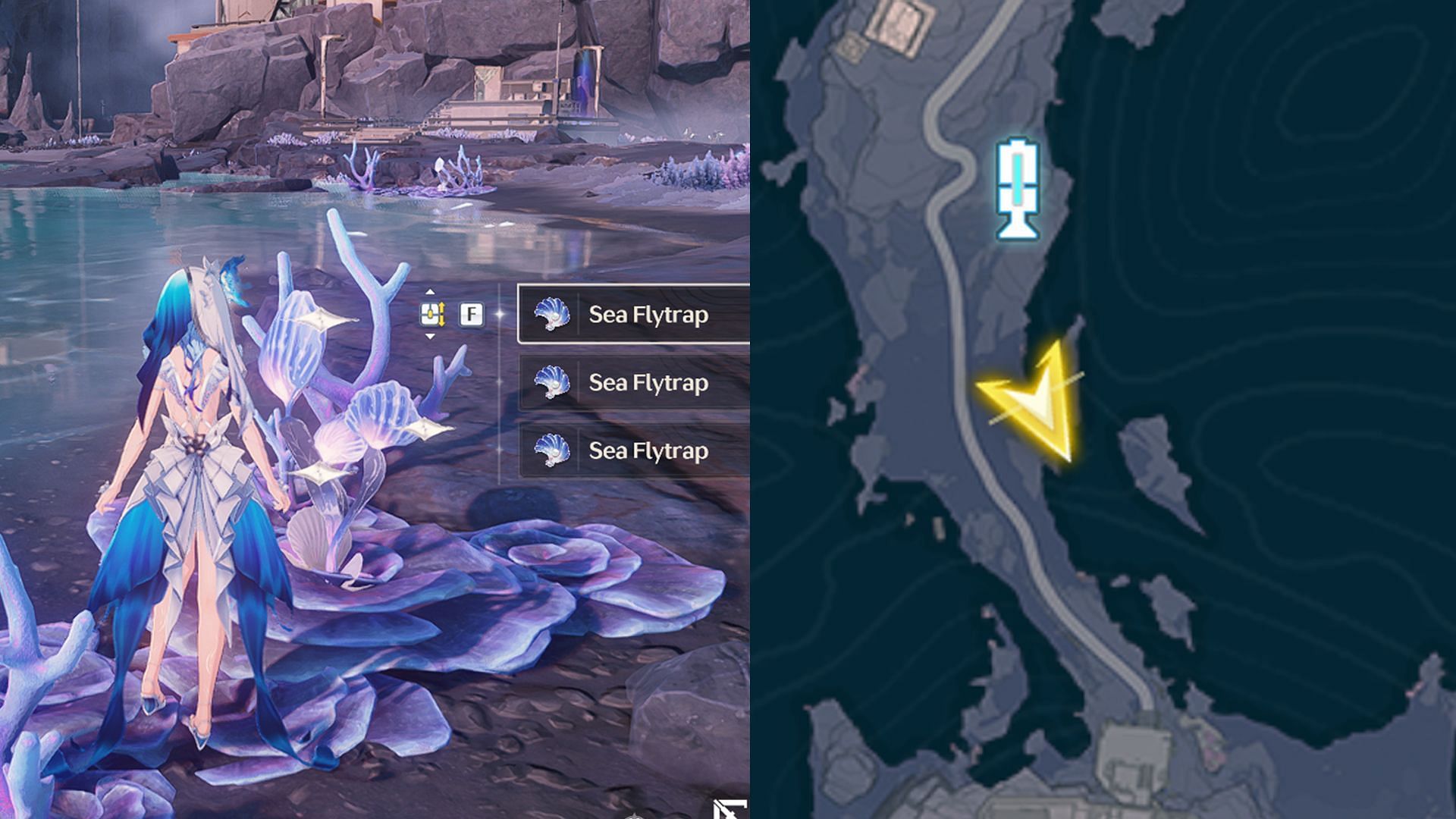 Sea Flytrap location #4 near Eye of Asteria Resonance Beacon (Image via Kuro Games)