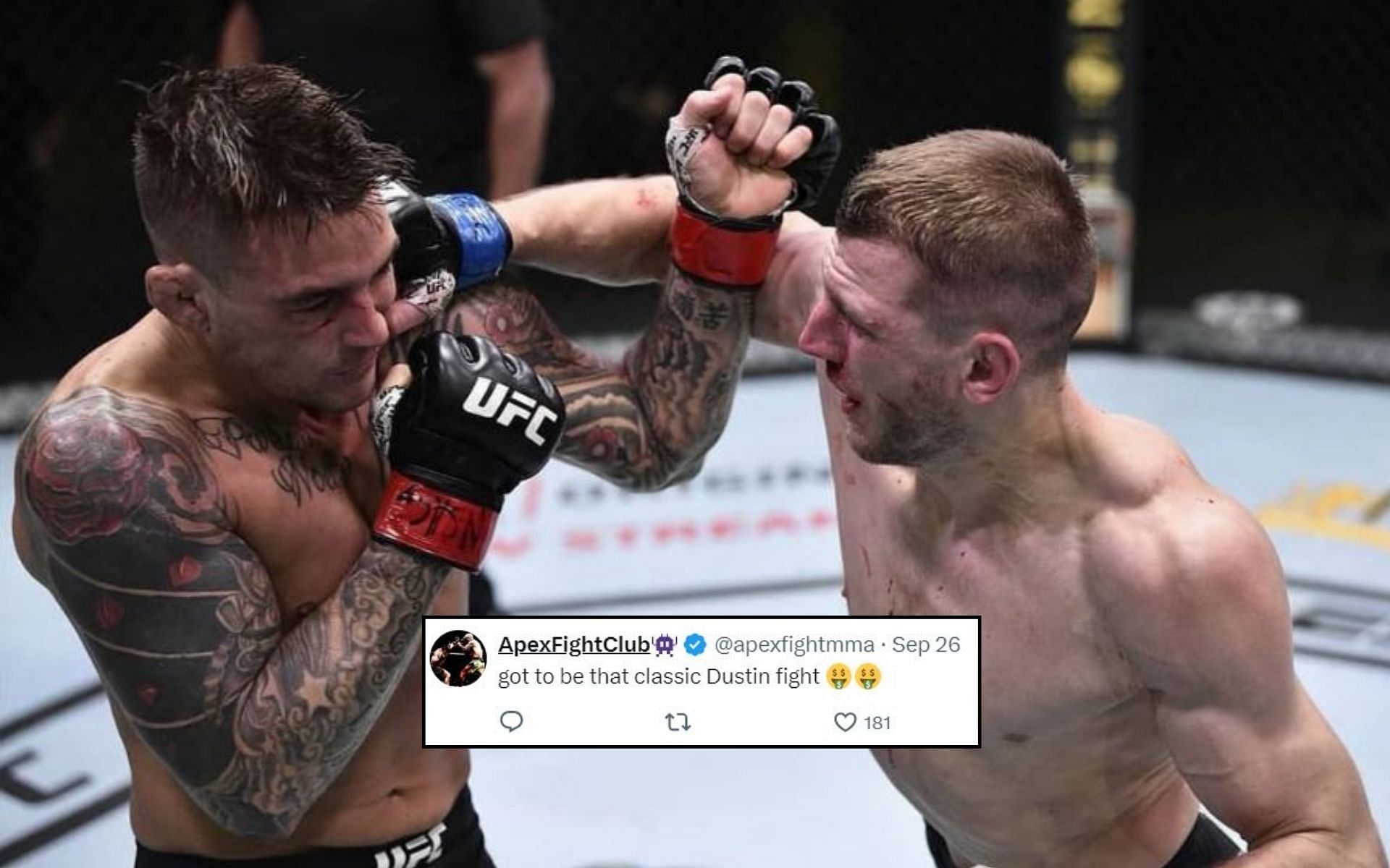 Fans react (insert) to the posibility of a rematch between Dan Hooker (left) and Dustin Poirier (right). [Image credit: @danhangman on Instagram, @DanTheHangman on X]