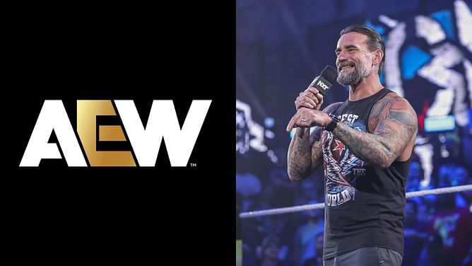 CM Punk and current champion surprisingly reference AEW on WWE TV