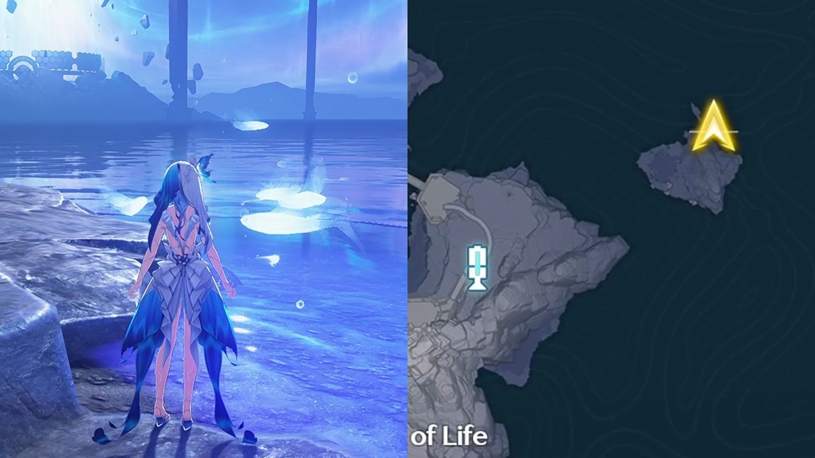 Translucent Aetherfin Wuthering Waves: All Aetherfin Challenge locations in The Black Shores