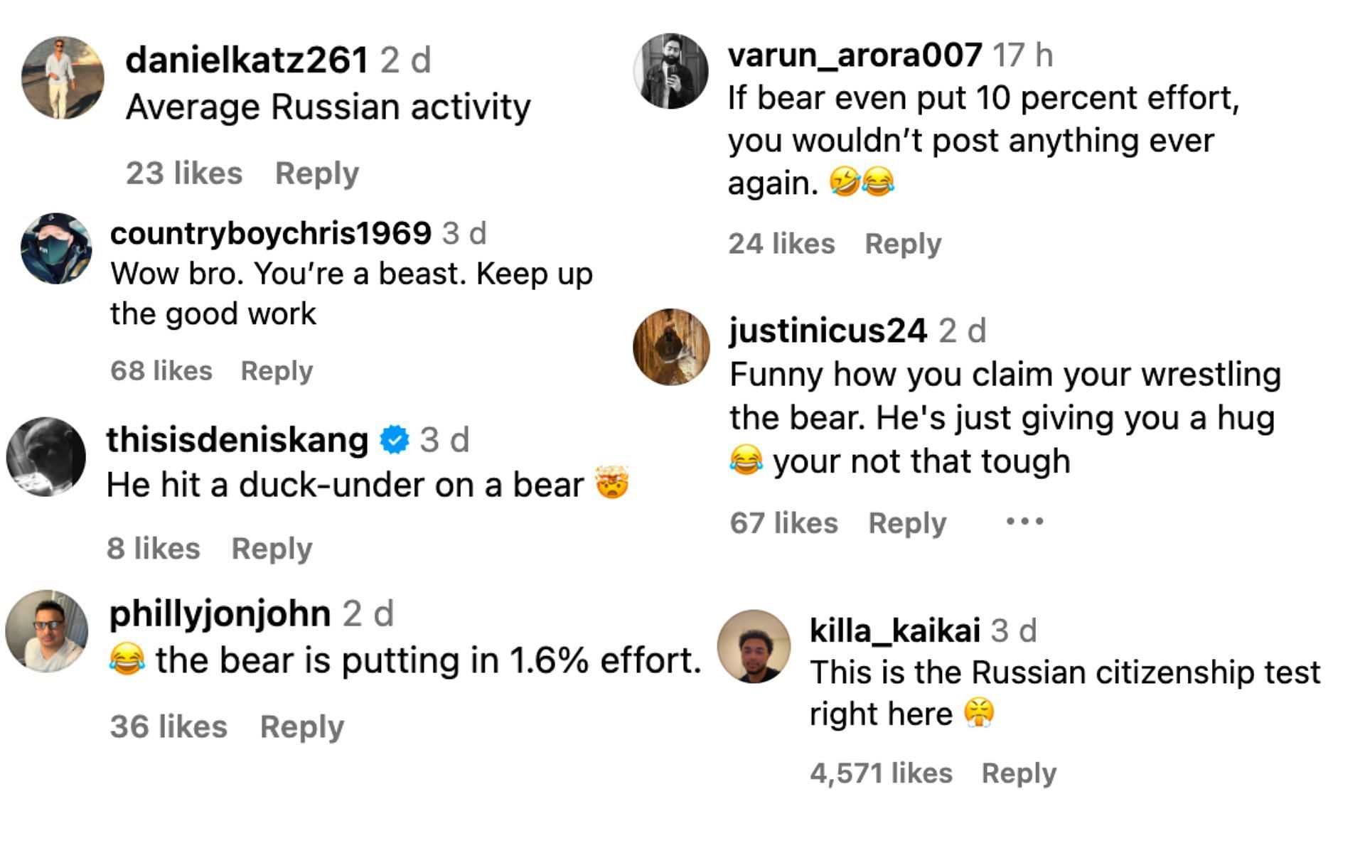 Fans react to Makhmudov wrestling a bear