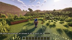 How to change biome in Minecraft using commands