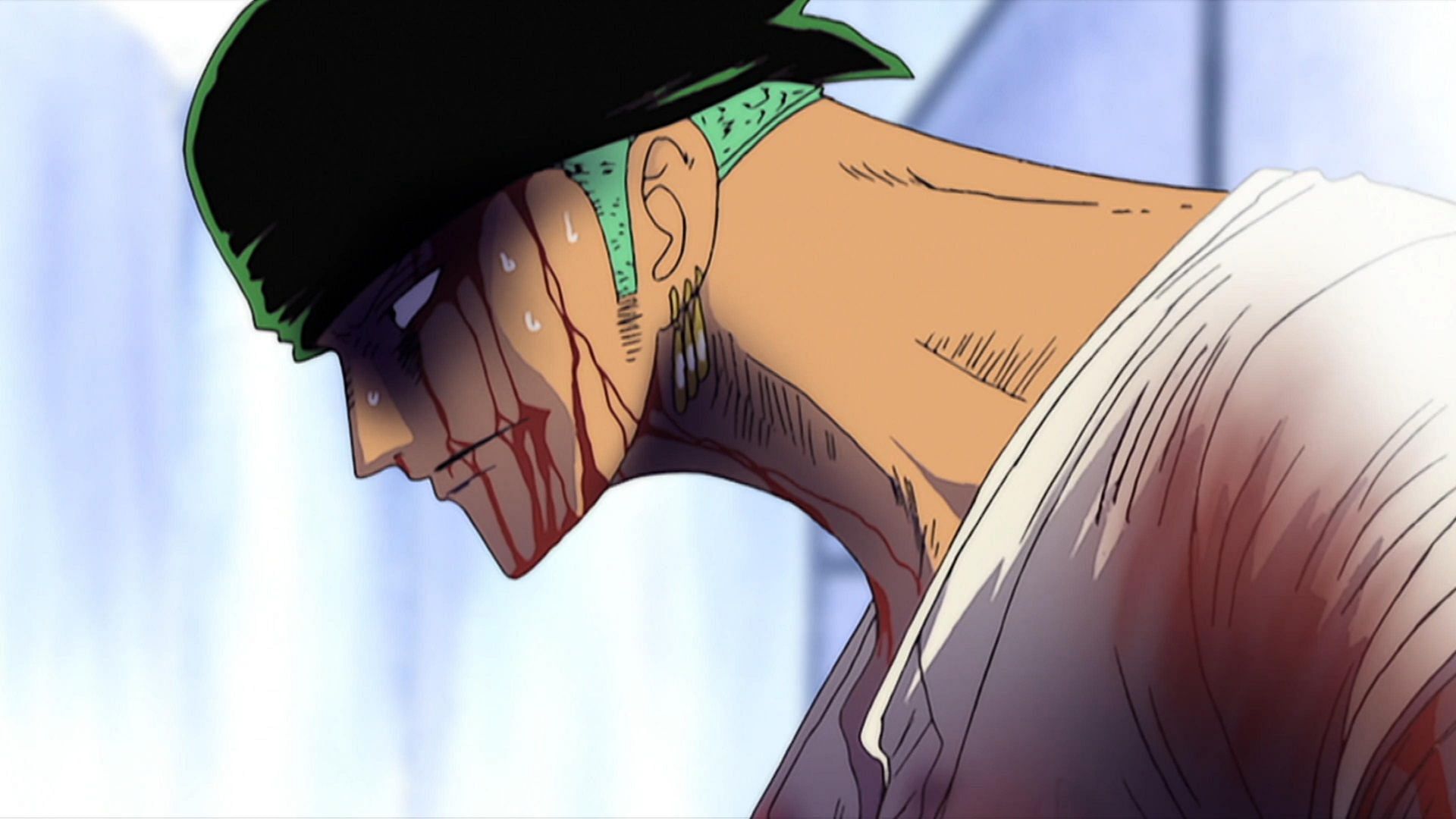 Zoro during the fight with Mr 1 (Image via Toei Animation)