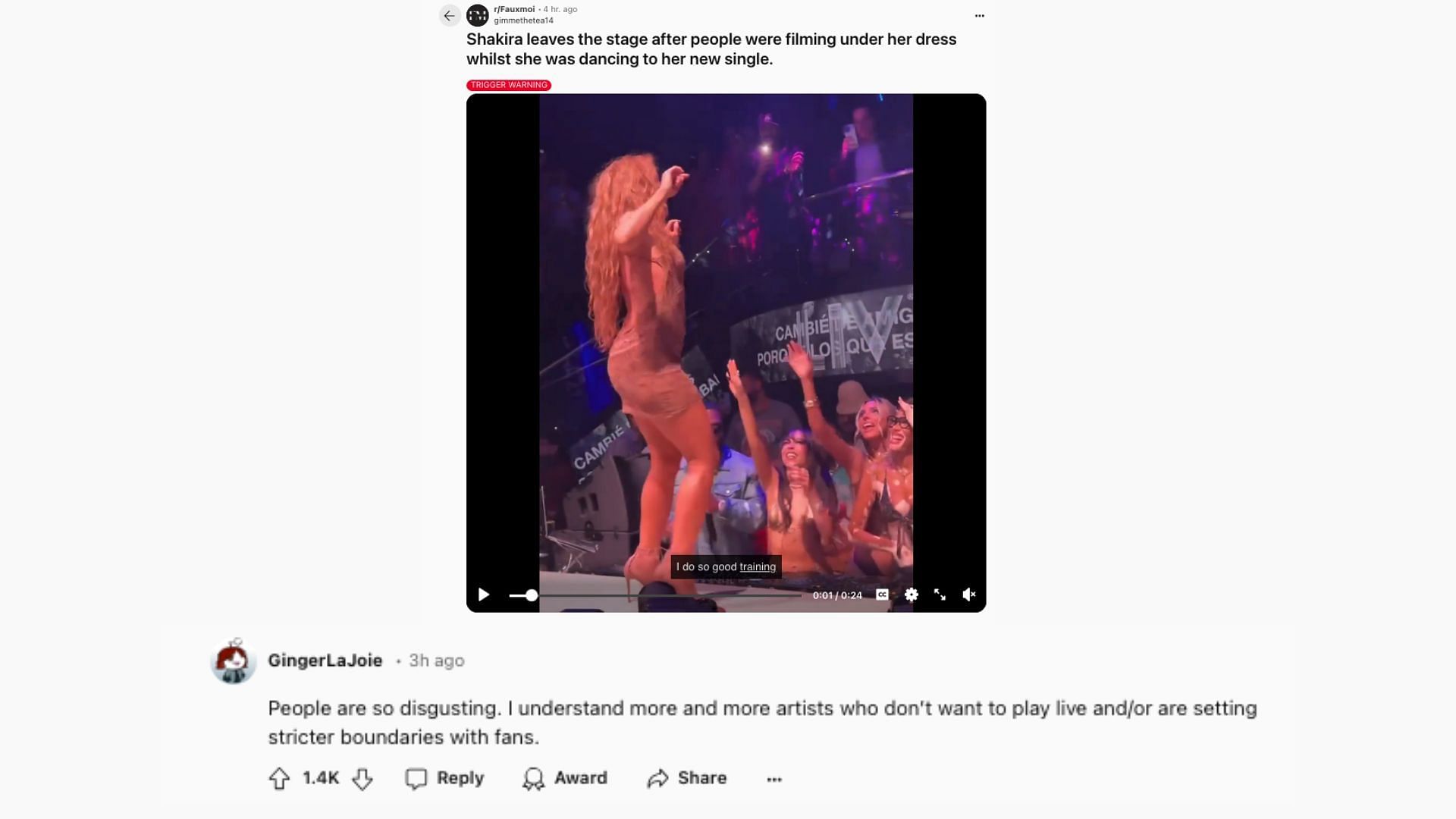 A fan comments on &quot;disgusting&quot; behavior against Shakira (Image via @GingerLaJoie/ Reddit)