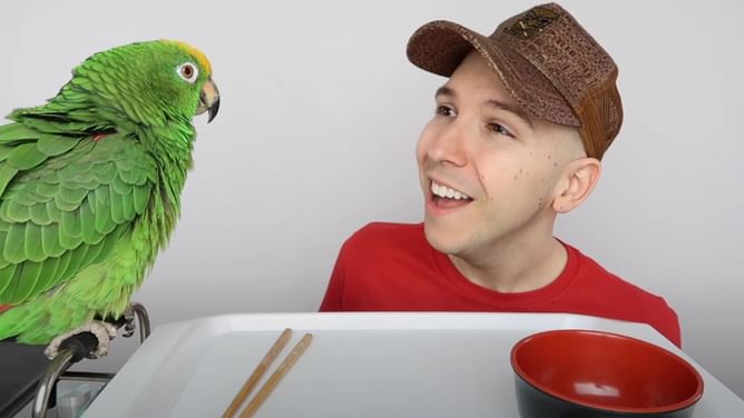 What does Nikocado Avocado look like now? YouTuber's pre and post-transformation pictures compared